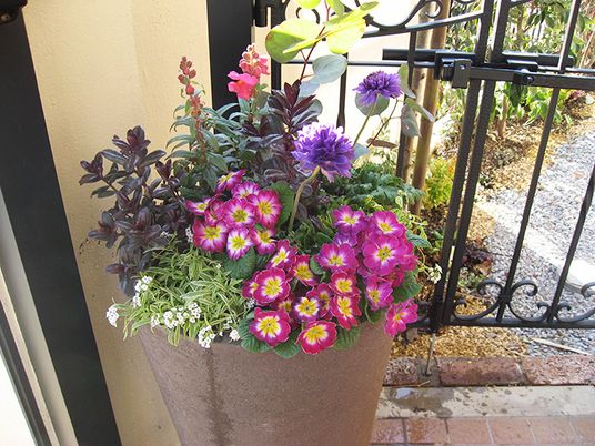 入口の花壇