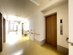 清潔な廊下とエレベーター