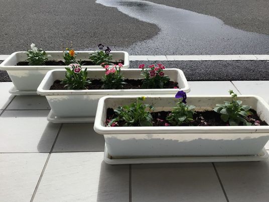 花のプランターがあるテラス  