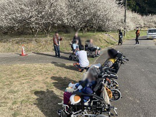 リハビリ活動の様子