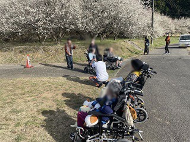 リハビリ活動の様子 庭 利用者同士が交流し、楽しいひとときを過ごす庭の風景です。リフレッシュに最適です。