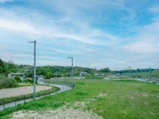 緑豊かな眺望