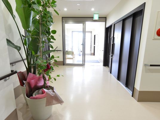 廊下と緑の植物