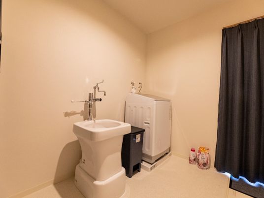 清潔な洗面台と洗濯機