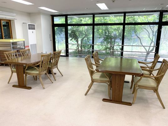 緑見える明るい食堂