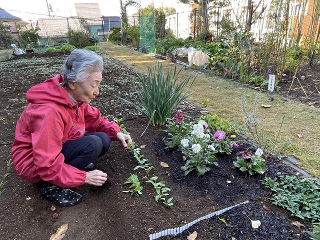 菜園スペース②