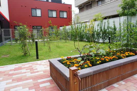 緑豊かな庭の風景