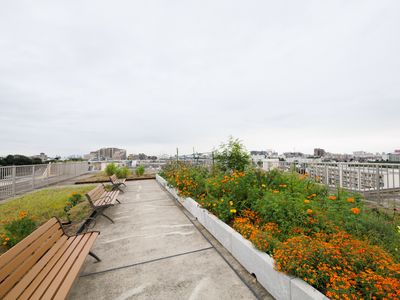 開放的な屋上庭園