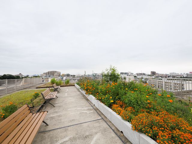 開放的な屋上庭園 屋上 都心の眺望と広々とした空間を誇る屋上庭園です。ベンチでの憩いのひとときをお求めの方に適した環境が整っています。