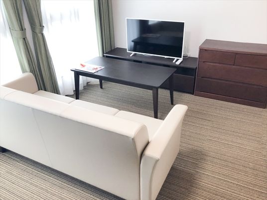 居室のテレビとソファ