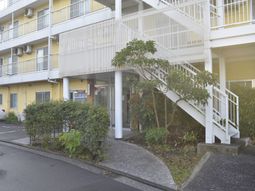 緑がある外観