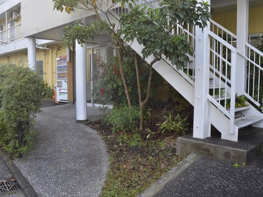 緑豊かな通路と階段