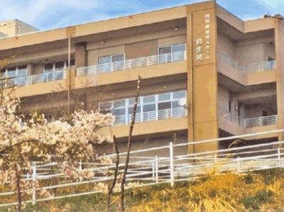 桜の木が美しい外観