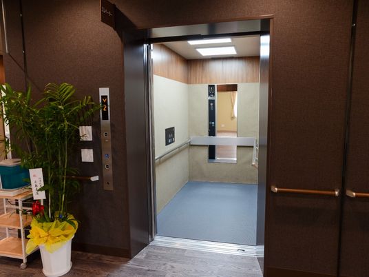 鏡や手すりが付いたエレベーター。扉のすぐそばまで手すりがあり、観葉植物も飾られている。