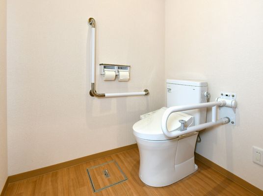 手すり付きトイレ