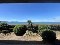 青空と海の見える庭