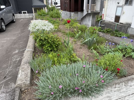 彩り豊かな植栽エリア
