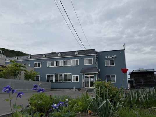 花が咲く広場
