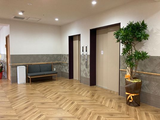 清潔感のある廊下の様子