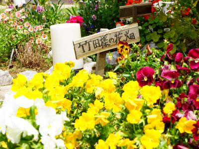 カラフルな花と看板
