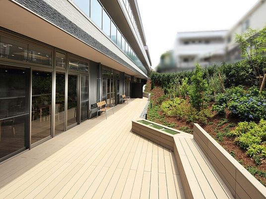 緑豊かな中庭の景色