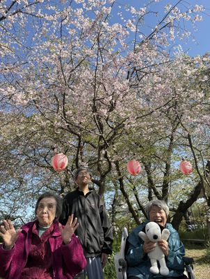 花見の中庭  