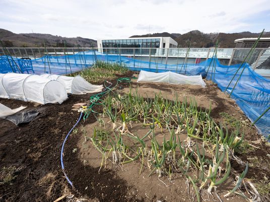 施設の菜園