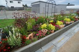 色とりどりの花々が咲く中庭