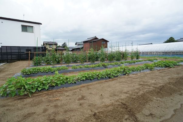 手入れされた施設の庭