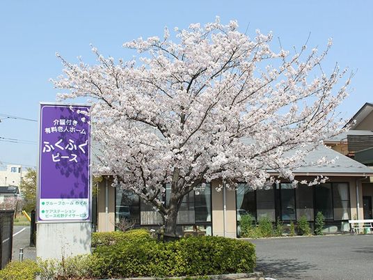 桜と施設の外観  