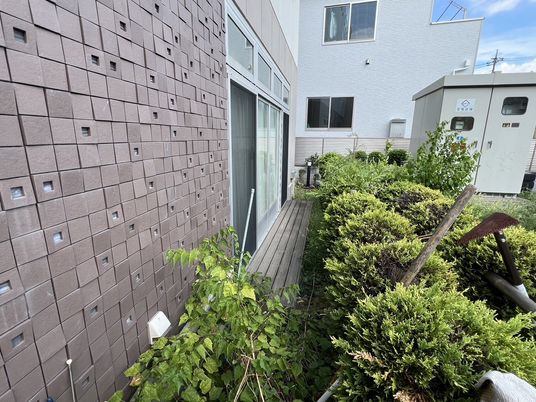 緑がある明るい中庭