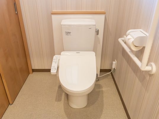 バリアフリーの清潔なトイレ