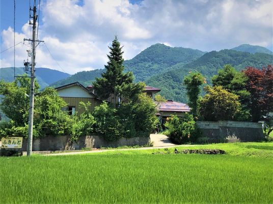 緑豊かな外観風景