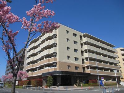 有限会社 たちばな開発の写真0