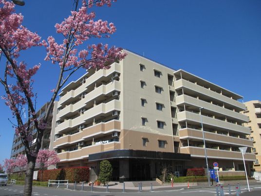春の桜と施設外観