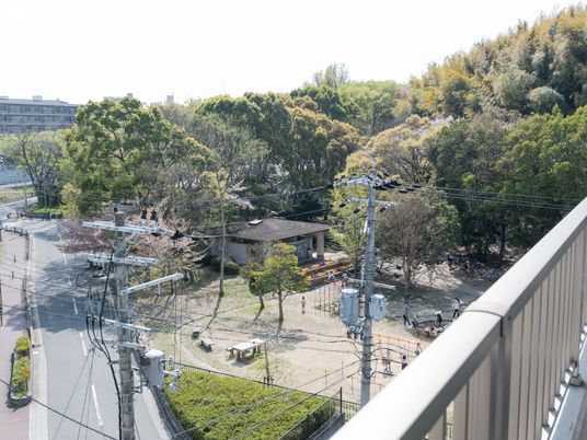  緑豊かな中庭の風景 