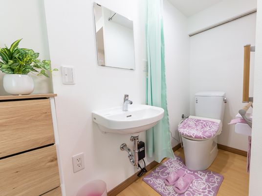 清潔なトイレと洗面台