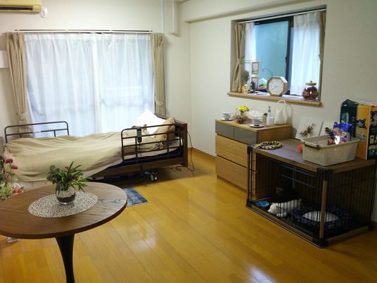 居室の模様