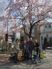 桜の下での笑顔集合