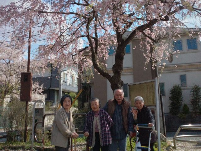 桜の下での笑顔集合 庭 四季折々の風景の中、心温まる瞬間をサポートする仕事。共に思い出を作りませんか。