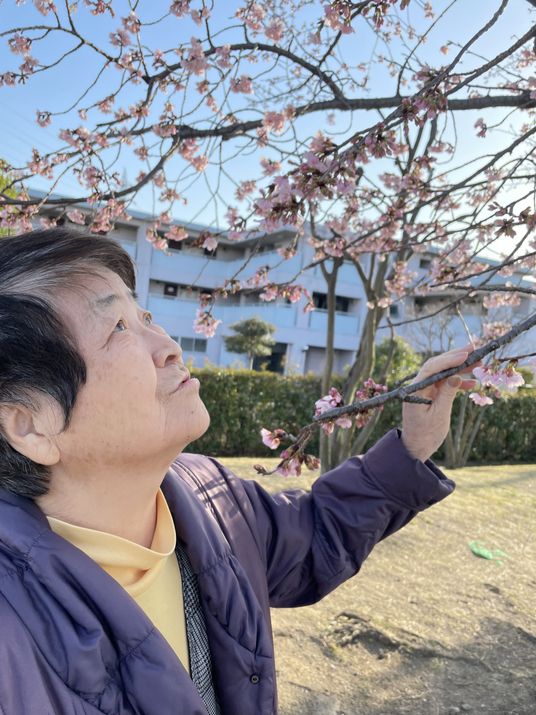 春を感じる庭