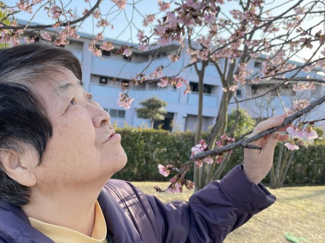 春を感じる庭 庭 庭で花を見上げる様子は、落ち着いた雰囲気を感じさせます。自然に触れることで気分がリフレッシュできます。