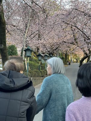 桜並木を歩く人々