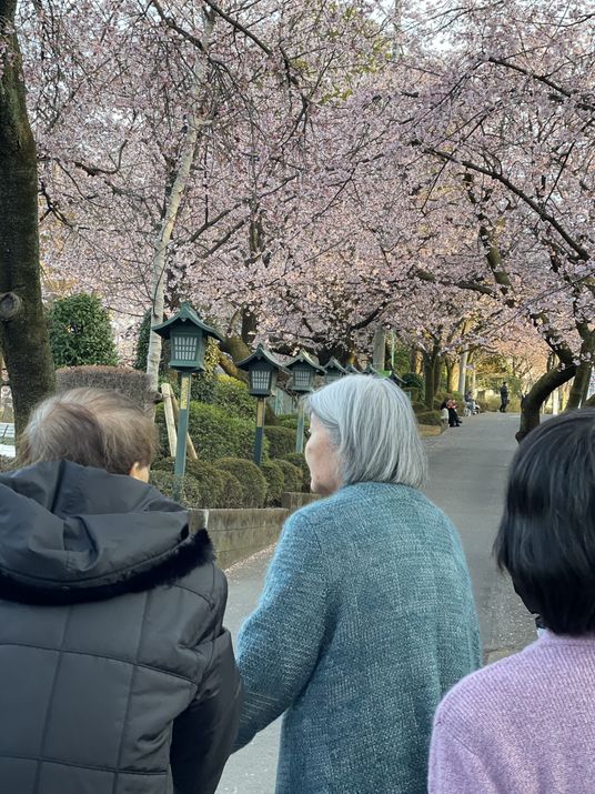 桜並木を歩く人々