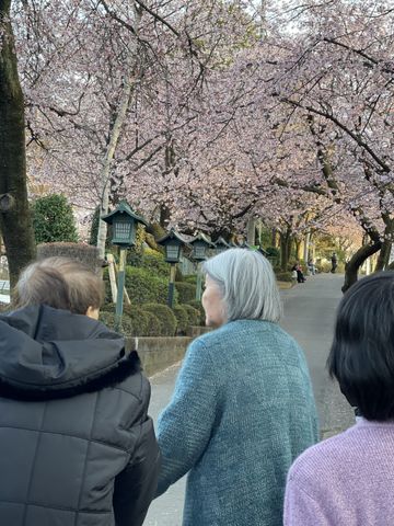 桜並木を歩く人々 庭 桜が咲く小道を、訪問者の方々が楽しく散策しています。自然を感じながらリフレッシュできます。