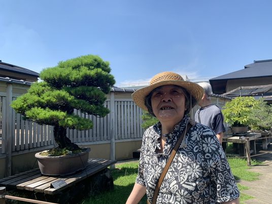 中庭