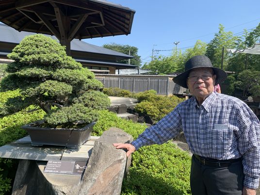 手入れされた日本庭園