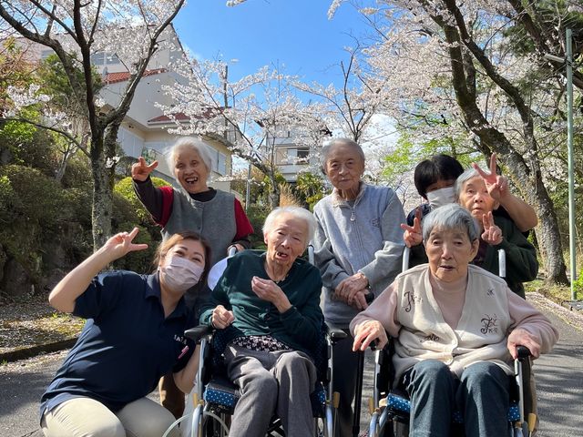 お花見