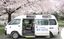 桜の下に停まる送迎車  
