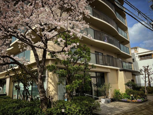 桜咲く建物外観 外観 桜が彩るエントランスは、スタッフと利用者を温かく迎えてくれます。自然豊かな環境で働ける魅力があります。